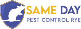 Same Day Pest Control Rye Logo